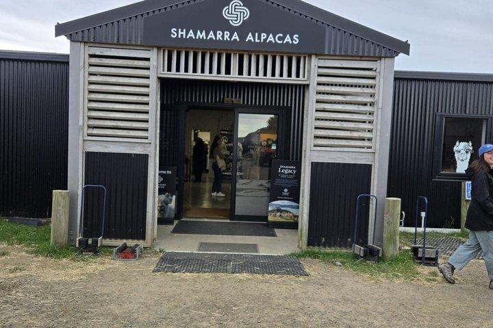 Akaroa Luxury Experience with Alpaca Farm and Dolphin Watching