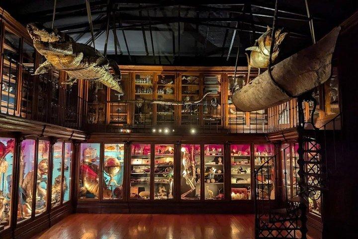 コインブラ大学＆ジョアニーナ図書館ツアー＋チケット