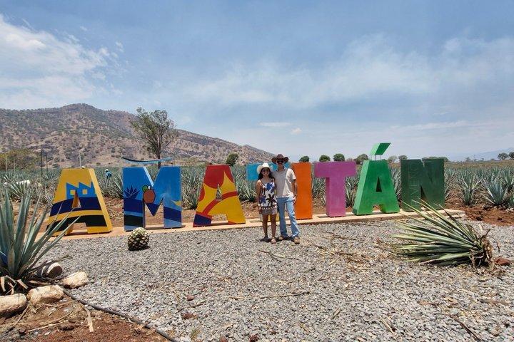 Tour from Guadalajara: Premium Jose Cuervo Experience