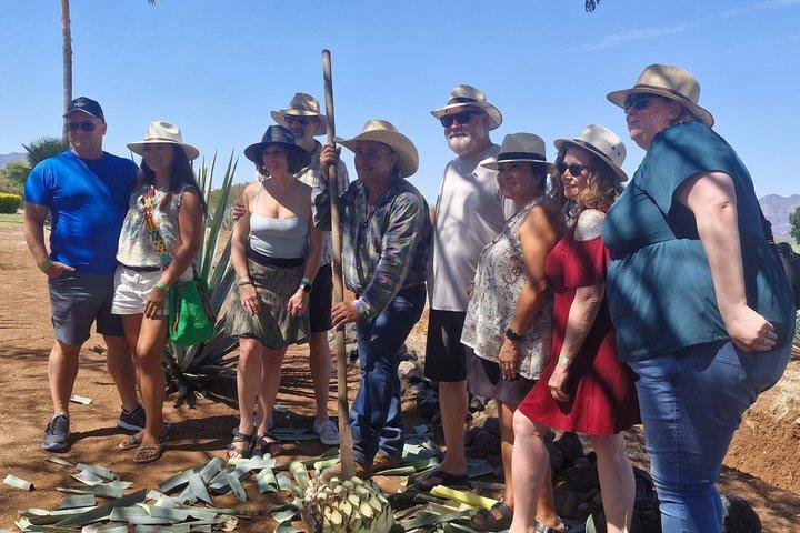 Tour from Guadalajara: Premium Jose Cuervo Experience