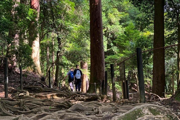 京都 鞍馬ウェルネス:山登りと温泉体験