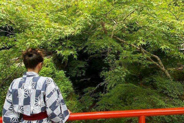 京都 鞍馬ウェルネス：山登りと温泉体験