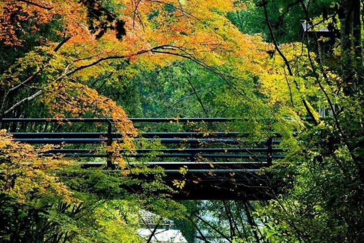 京都 鞍馬ウェルネス：山登りと温泉体験