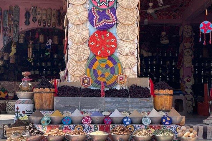 アスワンのプライベートツアー：ヌビアン村とフェルッカ