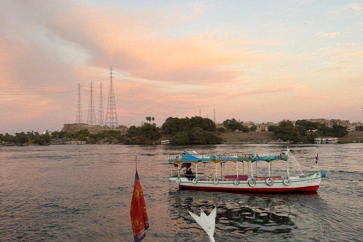 アスワンのプライベートツアー：ヌビアン村とフェルッカ