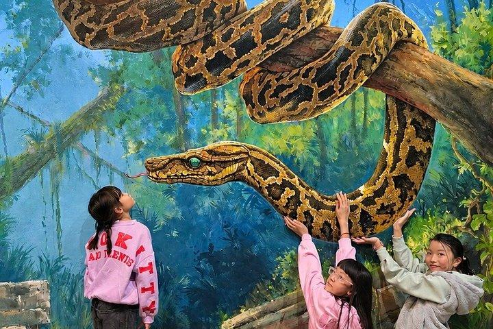 ArtVo Immersive Gallery Experience