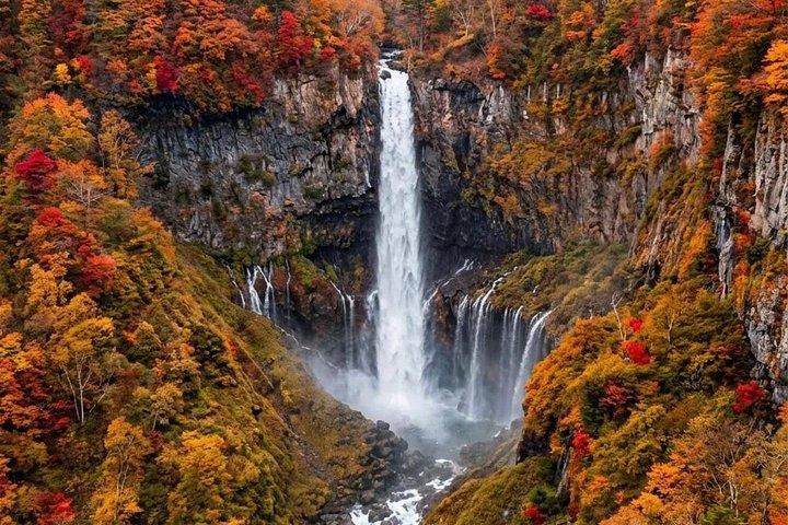 Tour privado de Tokio a Nikko con conductor de habla inglesa