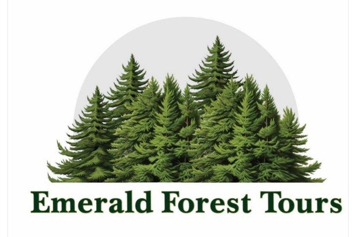 Emerald Forest Tours: Private Tours suitable for all ages...