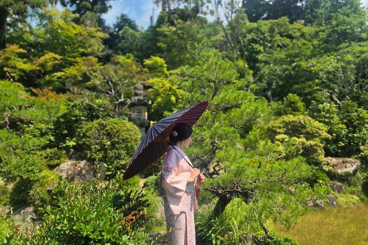 京都で本格的な茶道体験を