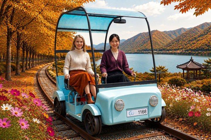 Nami Island, K-Garten und Gangchon Rail Bike Tour von Seoul