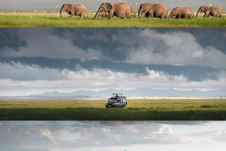 3日間マサイマラサファリツアー ビッグファイブ野生動物体験