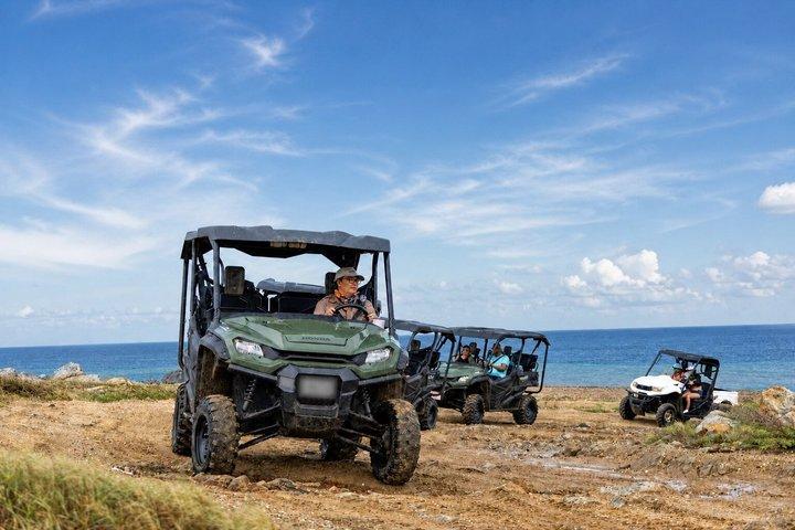 Aruba UTV & ATV Tour: Animal Garden, North Coast & Andicuri Beach