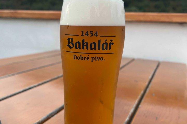 共有プラハ・ヴルタヴァボートトリップ（2ドリンク付き）