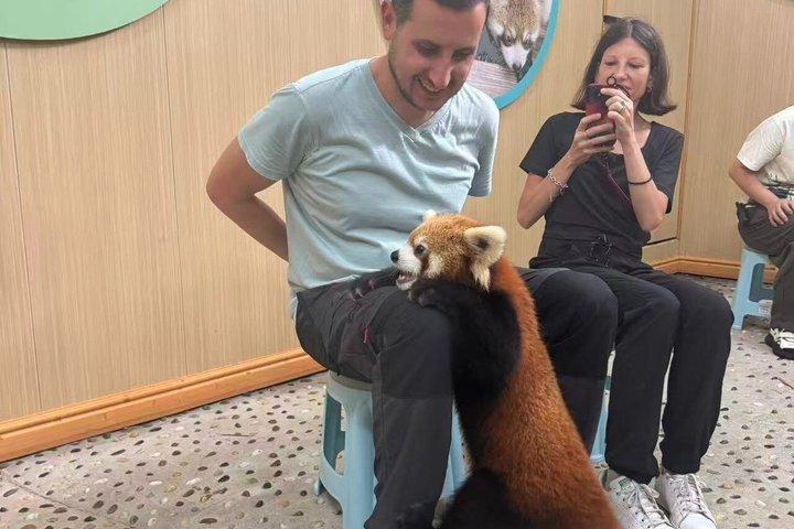 Red Panda Volunteer Experience