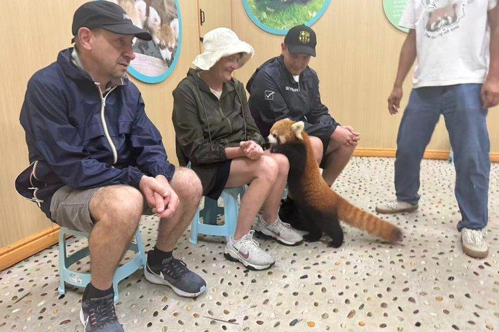 Red Panda Volunteer Experience