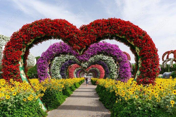 Miracle Garden And Global Village Ticket With Transfer Options