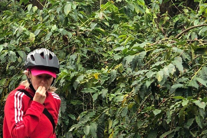Tour en bicicleta por las fincas de café del Kilimanjaro