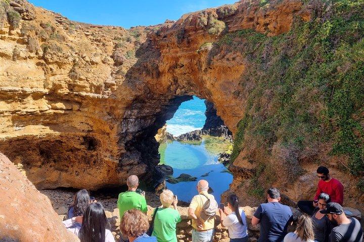 Twelve Apostles Express Private Tour from Melbourne
