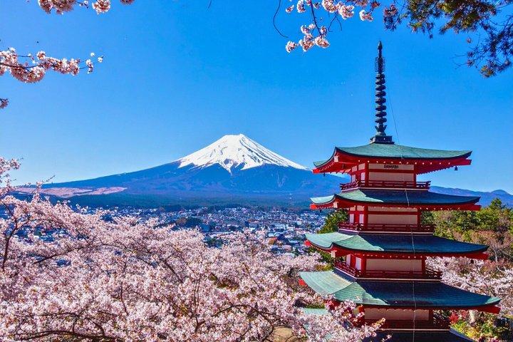 Mt Fuji Private Tour with Sake Tasting and English Speaking Guide