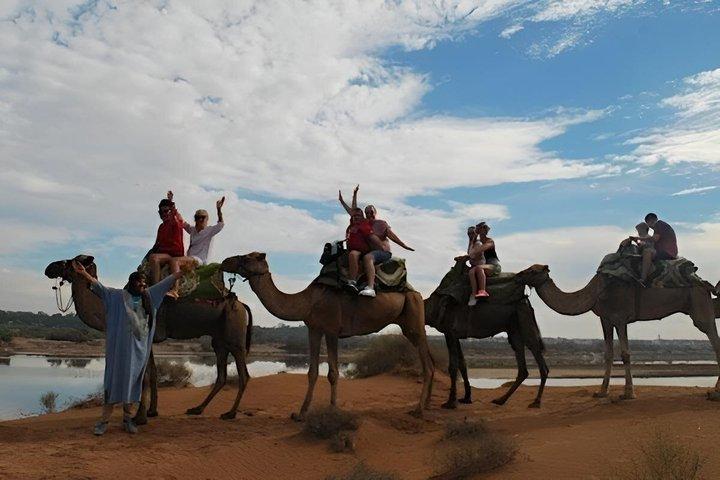 Sunset Barbecue Camel Ride from Agadir