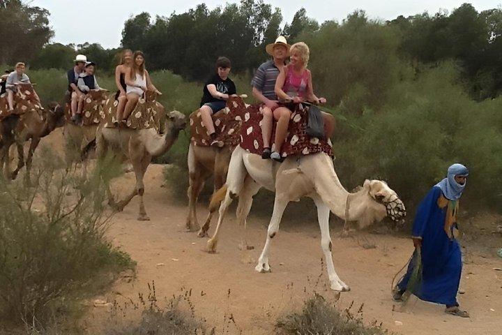 Sunset Barbecue Camel Ride from Agadir