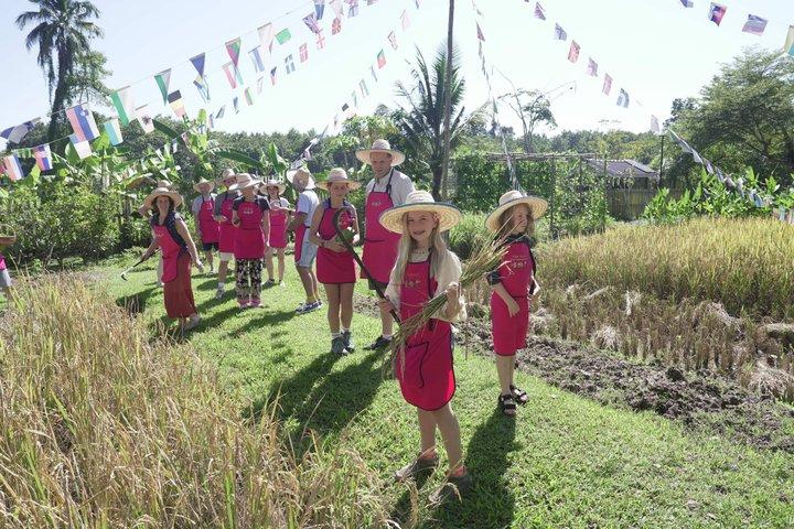 Organic Farm Thai Cooking Experience in Chiang Mai Market Tour
