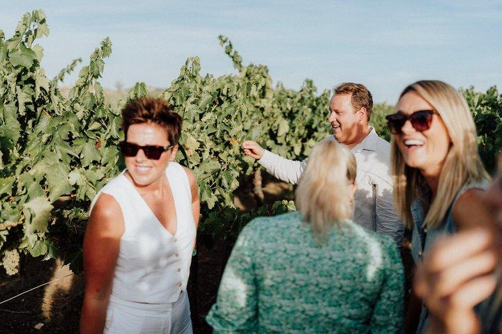 Authentic Istrian Farm-to-Table story with guided walk