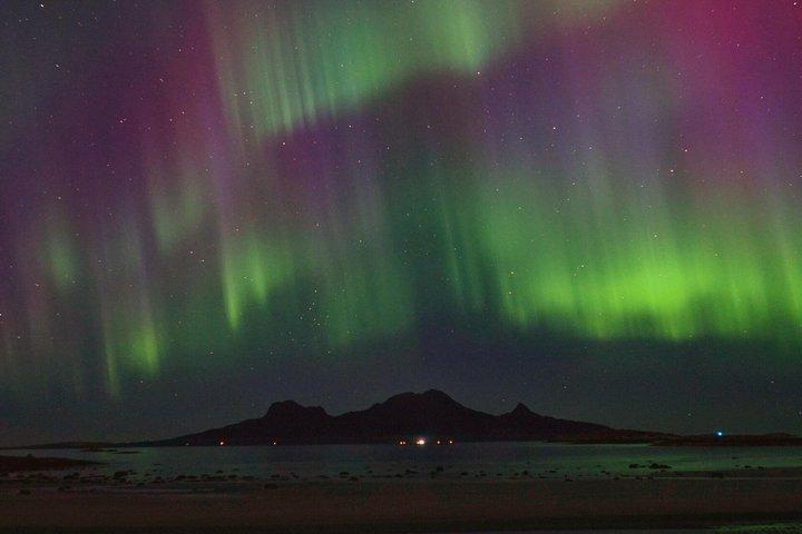 Aurora Moments Guided Northern Lights Tour in Bodø