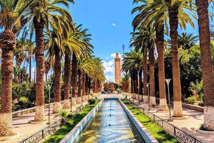 Taroudant Half Day Tour and Goat Tree Visit