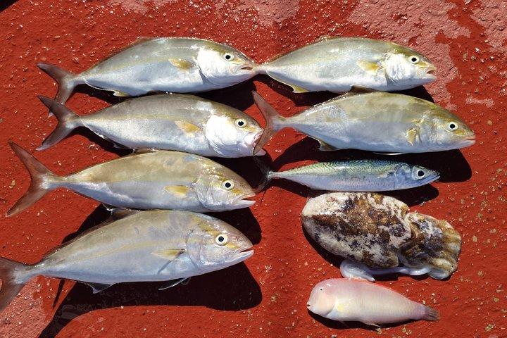 FISHING EXPERIENCE GUARANTEE CATCH Option Wake and tubing