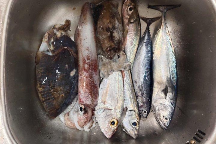 FISHING EXPERIENCE GUARANTEE CATCH Option Wake and tubing