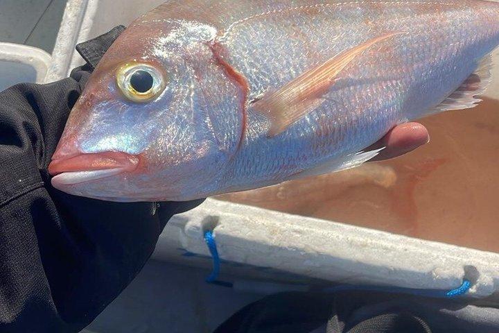 FISHING EXPERIENCE GUARANTEE CATCH Option Wake and tubing