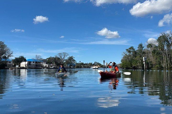 Homosassa Springs Wildlife S.P. - Guided Clear-Bottom Kayak Tour