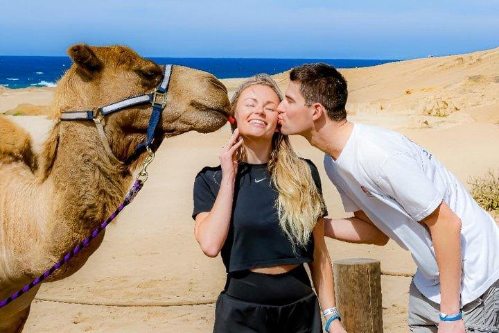 Family Camel Ride Adventure in Los Cabos with Tequila Tasting