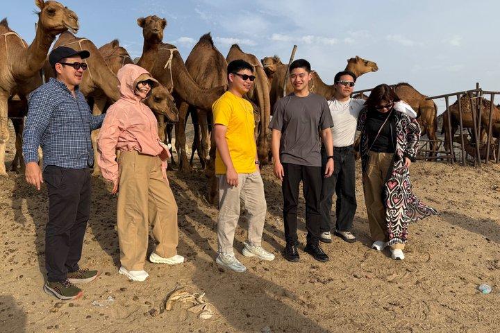 Jeddah Wüstentour mit Kamel und Quad