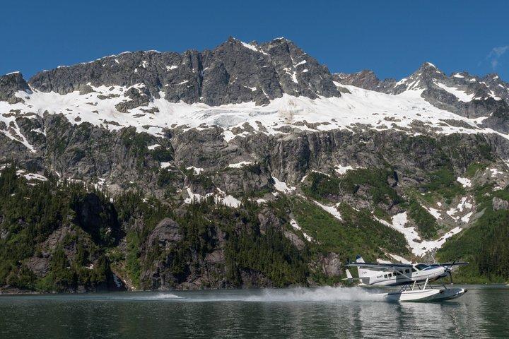 氷河とアルパイン湖の水上飛行機ツアー素晴らしい山の景色