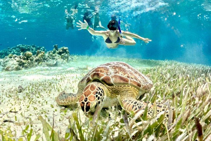 コスメル島のパランカール、トルトゥガス、シエロ、シエリトでのシュノーケリング
