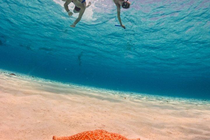 コスメル島のパランカール、トルトゥガス、シエロ、シエリトでのシュノーケリング