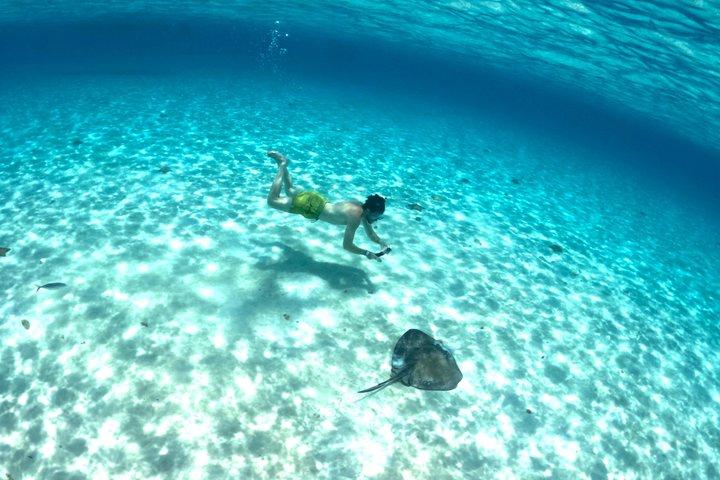 コスメル島のパランカール、トルトゥガス、シエロ、シエリトでのシュノーケリング