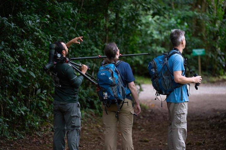 A full Day of BirdWatching in Monteverde Entrance Pay on site