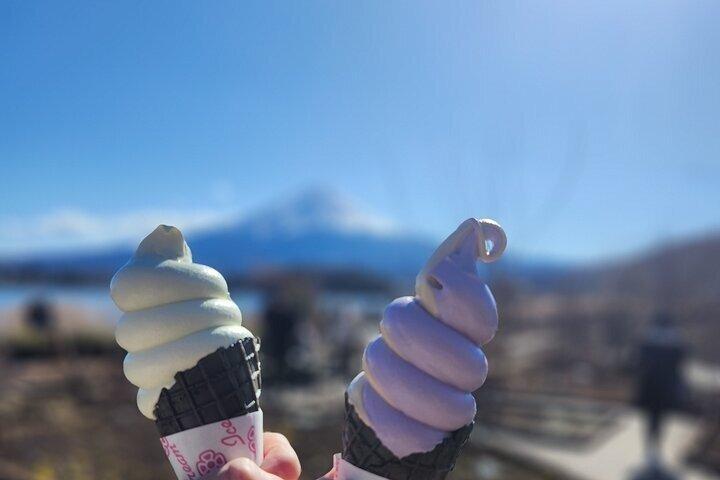 富士山と箱根のプライベートツアー（高級車付き）