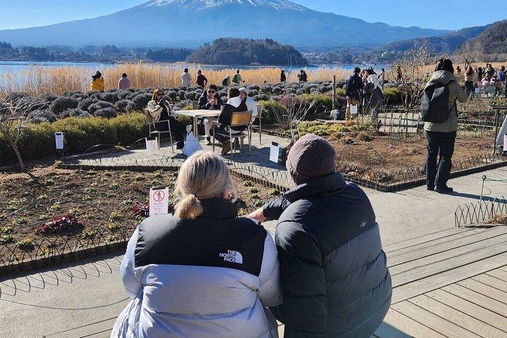 富士山と箱根のプライベートツアー（高級車付き）