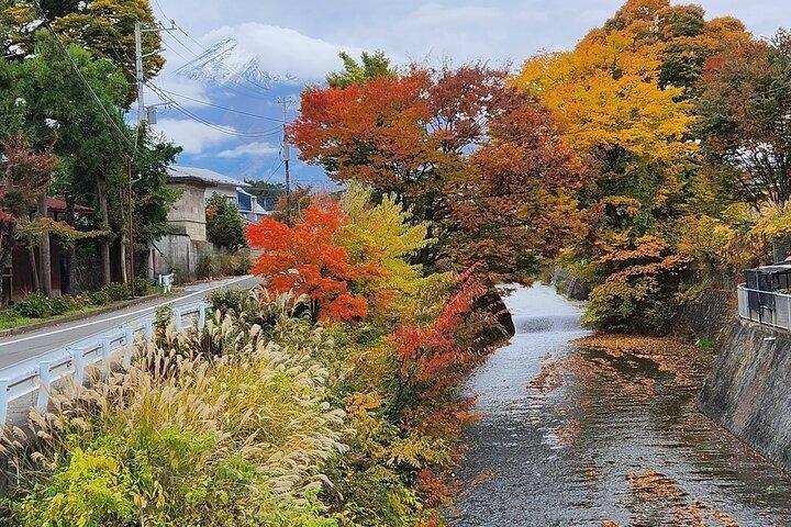 富士山と箱根のプライベートツアー（高級車付き）