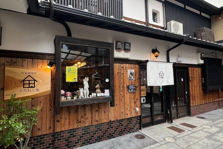 京都エシカルキャットサンクチュアリと茶道体験 少人数制