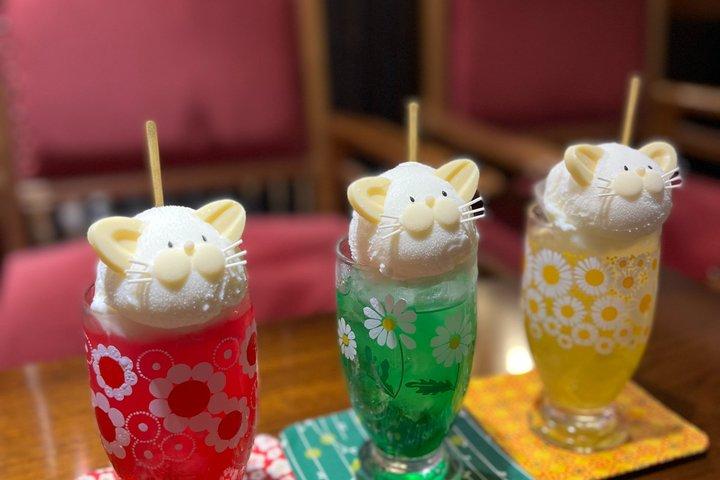 京都エシカルキャットサンクチュアリと茶道体験 少人数制