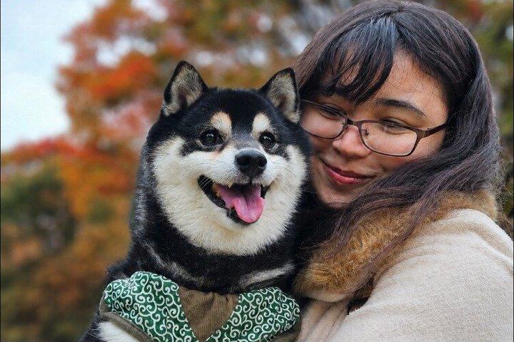 Tokyo Shiba Inu Shrine Walk | Discover Tokyo's Hidden Side