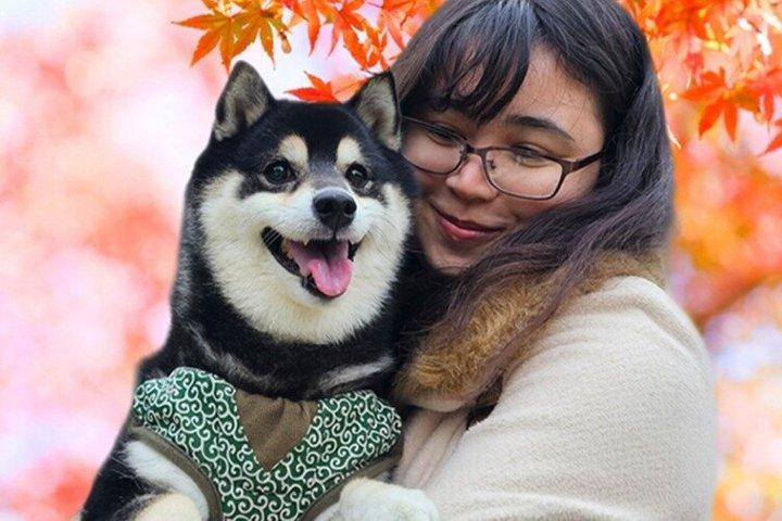 Tokio Privé herfstbladeren wandeling met een Shiba Inu