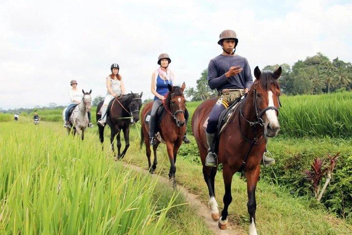 Bali Hesttur-eventyr på stranden