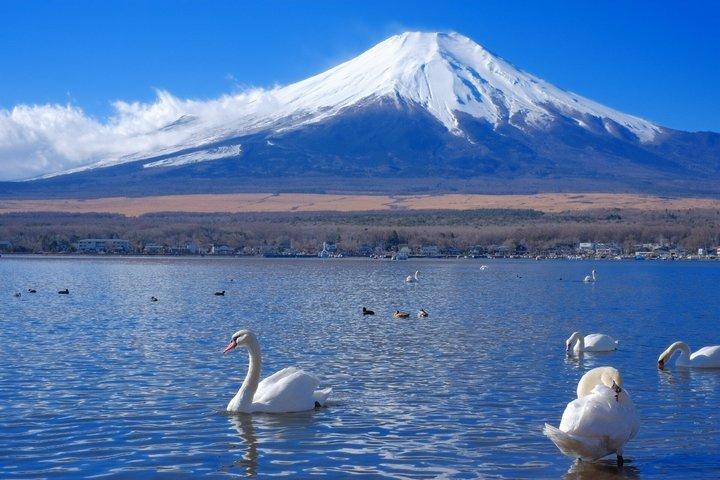 東京発富士山全日観光ツアー