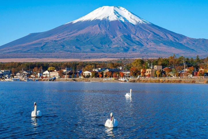東京発富士山全日観光ツアー